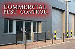 Commercial Pest Control